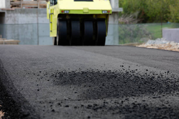 Best Driveway Paving Contractor  in Frostproof, FL